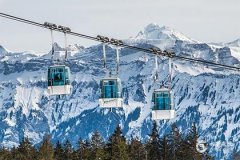 2025年蛇本命年的大忌