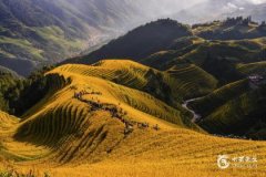 2025蛇寶寶淩晨4點19分出生 