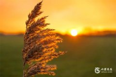 今年屬牛的要佩戴什麼比較好2025？2025年屬牛要註意什麼？