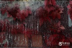 2024年龍寶寶幾月出生最好？屬龍2024年穿什麽顏色最旺？