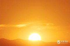 2002年生肖：壬午馬年的文化象征與性格特征