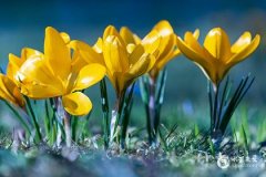 閏五月適合祭拜嗎？閏月傳統習俗盤點