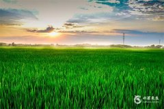 本命年给姐姐买什么礼物？十款精选好礼推荐