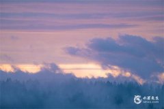 沉香放哪最旺财？沉香放在家里的风水作用