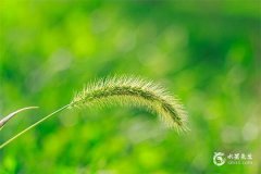 農歷閏七月和七月有什麼區別？閏七月可以過兩次生日嗎？