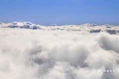 龙本命年2024注意什么