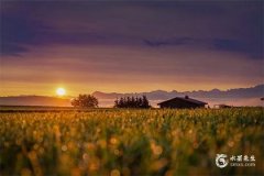 補木最旺的字，補木最吉利的6個字