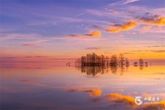 69年雞財運最旺的幾年：龍年、蛇年、牛年、猴年