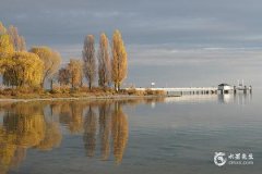 今年屬牛的犯太歲嗎2025？屬牛2025年有哪些吉星和兇星？