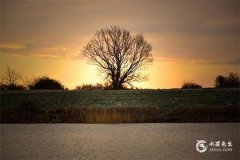 2025屬蛇的大忌顏色，屬蛇2025本命年佩戴什麼？