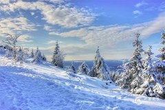 補土最旺的字，土行字寓意最好的字