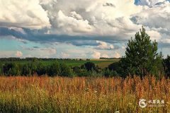 77年蛇戴什麼首飾最旺？77屬蛇終身忌諱顏色