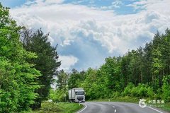 48岁属兔和52岁属猪结婚好不好？属猪和属兔的绝佳婚配度！