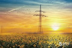 龍年2024年的運勢怎麽樣？本命年的屬龍人需如何規避兇運？