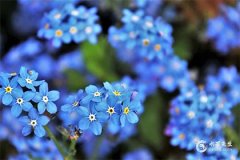 1999年屬兔今年財運如何？1999年屬兔2025年的幸運色