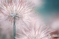 2025 年属蛇本命年不宜做的事情