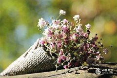 女比男大6岁是大忌吗？结婚一定要买新床吗？