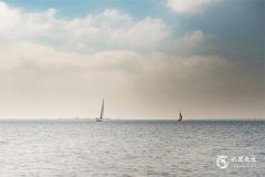 今年屬豬的要佩戴什麼比較好2025？2025年屬豬要註意什麼？