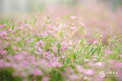 2025年蛇寶寶晚上出生好嗎：名字與八字搭配指南