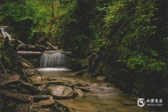 世界正位感情未來發展，世界正位他對我的想法