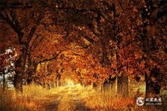 閏八月和農歷八月一樣嗎？什麽時候迎來閏八月？