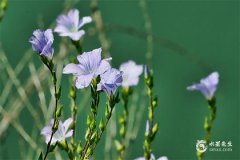 農歷閏四月和四月有什麽關系？為什麽要閏月？