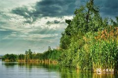 双鱼座最穷的三个属相