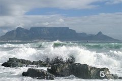 属蛇最旺的6个字