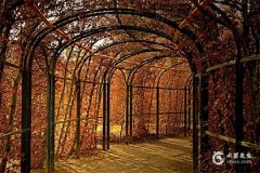 摩羯女允许你追她的信号：如何不错过她的爱