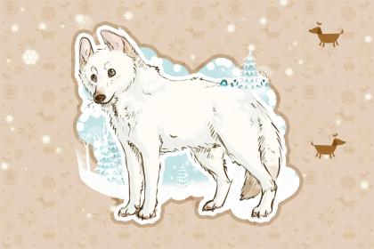 73岁属狗2018本命年忌讳