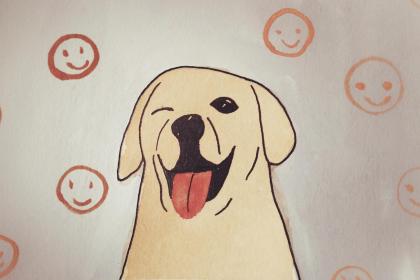 属龙的爸爸妈妈生个2018年属狗宝宝好不好？相冲吗？