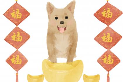 属狗住几层楼最好吉利？