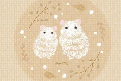 2020生肖鼠本命年可以带玉吗？生肖鼠男戴什么辟邪？