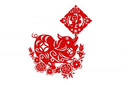 2019年七月份适合生猪宝宝吗？哪个日子出生好？