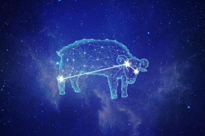 白羊座女生床上很可怕是真的吗