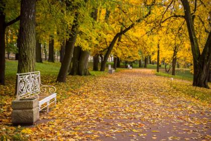 五行起名，女孩水字属性的字大全