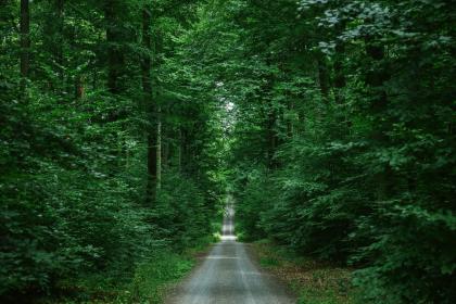 24岁本命年不顺有什么方法破解？