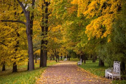 五行缺火起名常用字