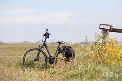 金星在第一宫逆行意味着什么？解读婚姻中的不确定因素