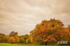 水瓶座老公冷战解决办法