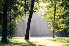 射手座适合结婚吗？星座专家给出答案