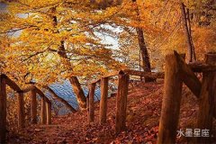 处女座的小孩性格特点与亲情、家庭的关联