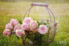 木星在第四宫逆行对家庭关系有何影响