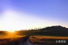 时来运转！双鱼座桃花运运势大揭秘